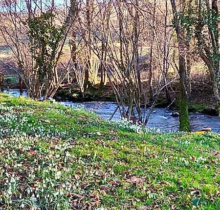 La Ciboulette Foix