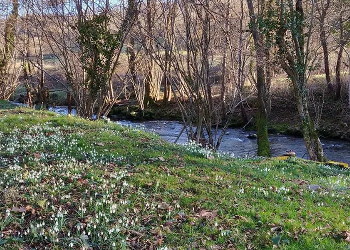La Ciboulette Bed & Breakfast Foix